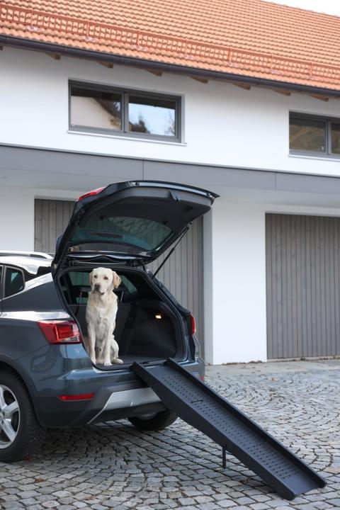 Actual product image Kerbl Dog ramp (Dog, Foldable)