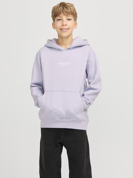 Immagine prodotto Jack & Jones Jorvesterbro Sweat Hood Noos Jnr (176)