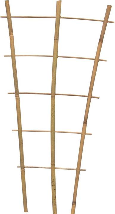 Actual product image Siena Garden Plant holder (60 cm, 28 cm)