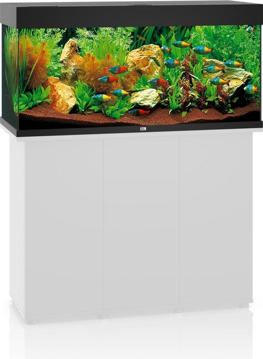 Image du produit Juwel Aquarium Rio (180 l)