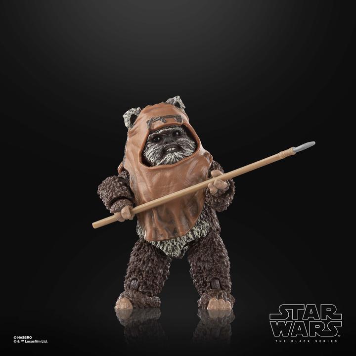 Actual product image Hasbro Star Wars Episode VI Black Series figurine Wicket 15 cm