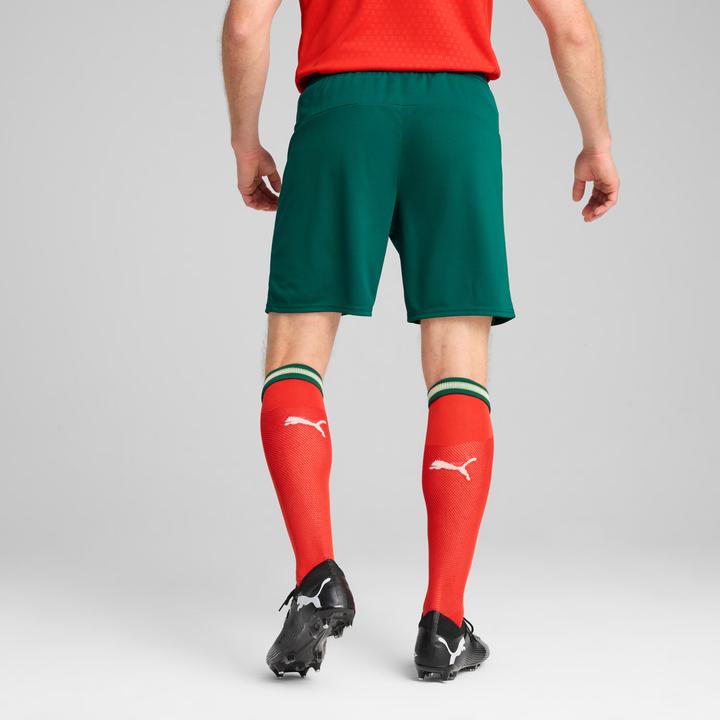 Image du produit Puma FPF Short Replica (L)