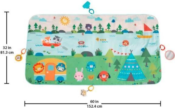 Actual product image Fisher-Price GXR53