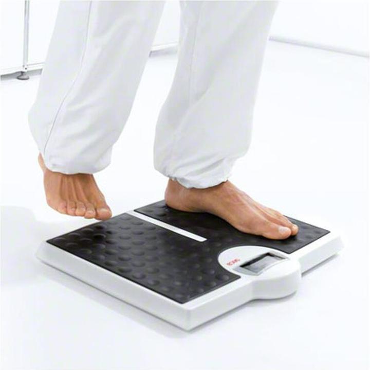 Immagine prodotto Seca Scala piatta 813 (200 kg)