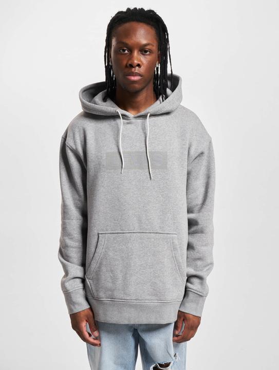 Actual product image Levis Relaxed Graphic Hoodie - 127125 (M)