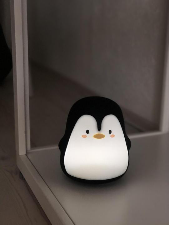 Produktbild Filibabba Pelle der Pinguin
