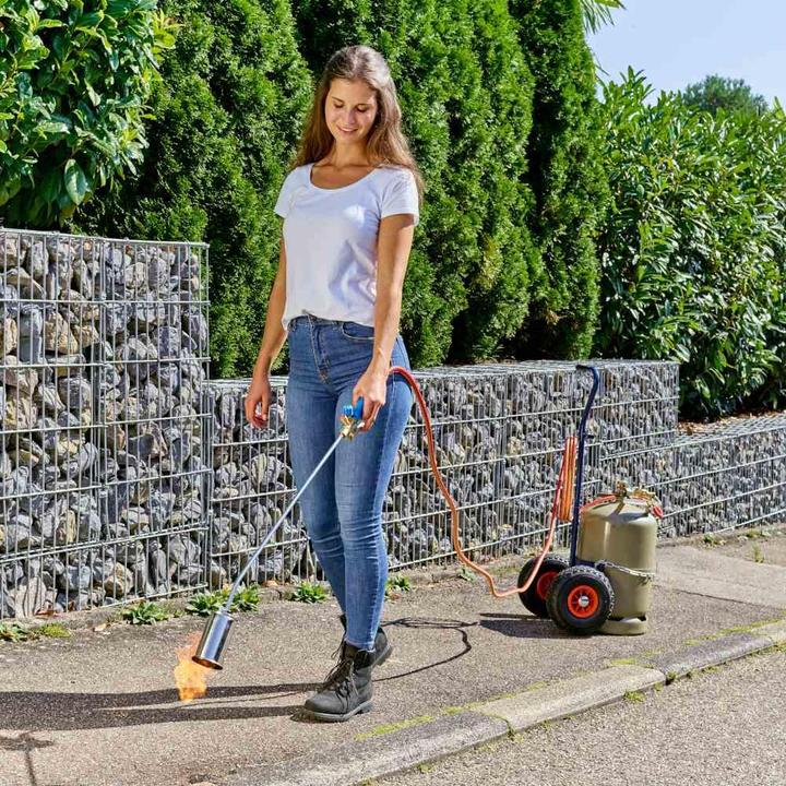 Actual product image CFH GT 89 (11 kg)