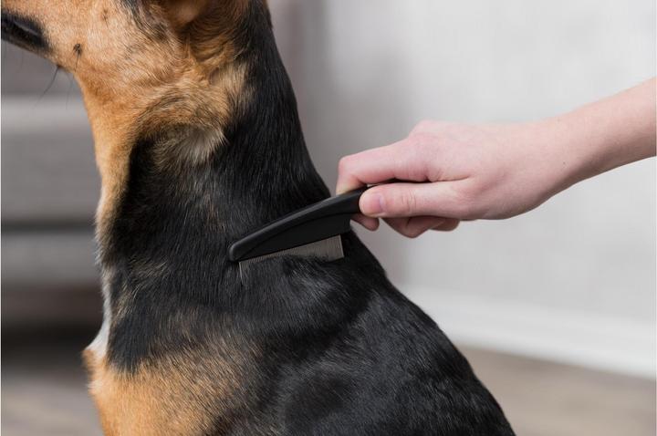 Produktbild Trixie Floh- und Staubkamm (Hund, Katze)