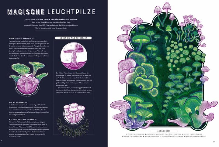 Immagine prodotto Glow – Das wundersame Leuchten der Natur (Tedesco, Jennifer N.R. Smith, 2023)