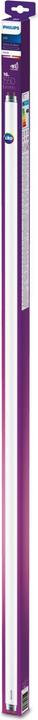 Actual product image Philips LED fluorescent tube (G13, 16 W, 1550 lm, 1 x, F)