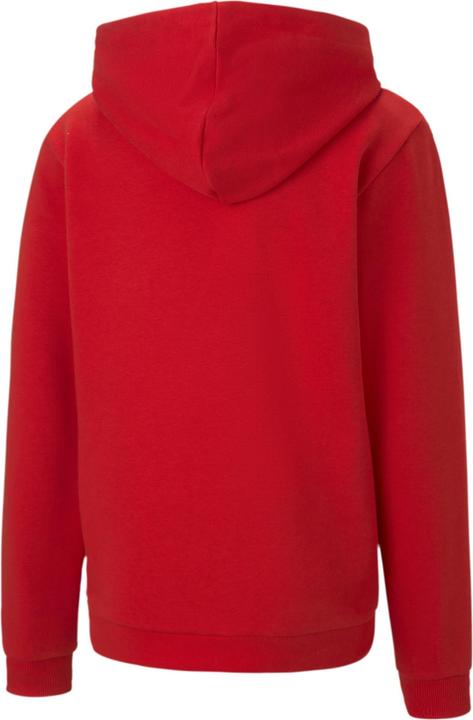 Puma teamGOAL 23 Casuals Hoody Jr-656711