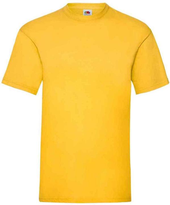 Actual product image Fruit of the Loom Mens Valueweight T-Shirt (XL)