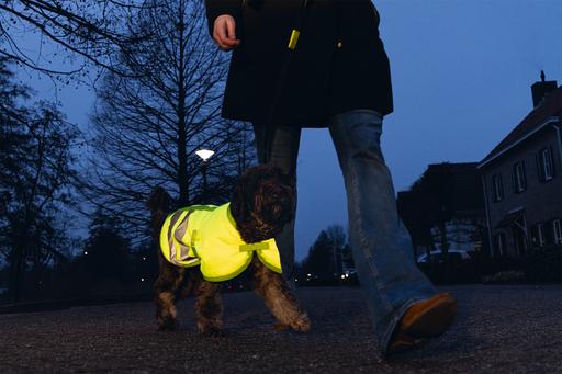 Produktbild Beeztees Bz Sg Hundemantel Teddie Refle (L, Hundemantel)