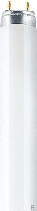 Image du produit Osram Natura (G13, 36 W, 1800 lm, 1 x, G)