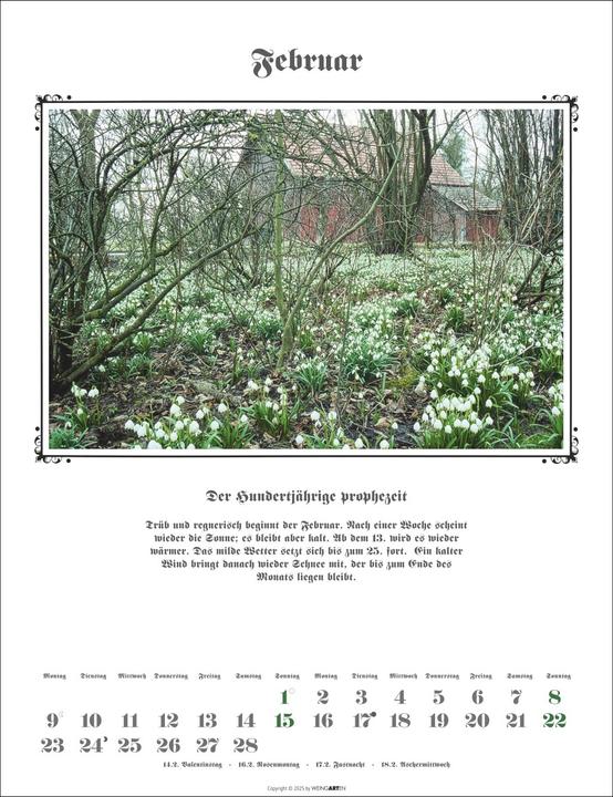 Actual product image Der Hundertjährige Kalender 2026 (30 x 39 cm, German)