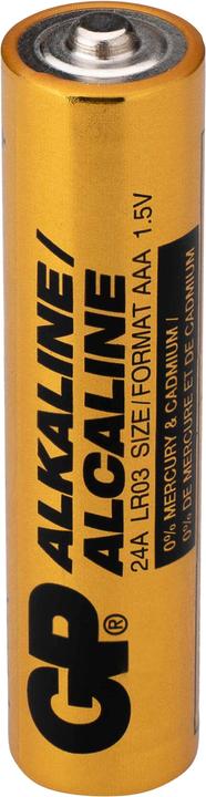 Actual product image GP Batteries GP Battery Alkaline, AAA, Micro, LR03, 1.5 V, Industrial, 10 pcs. (10 pcs., AAA)