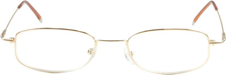 Actual product image Nicole Diem Lesebrille 1.00dpt Turin (+1)