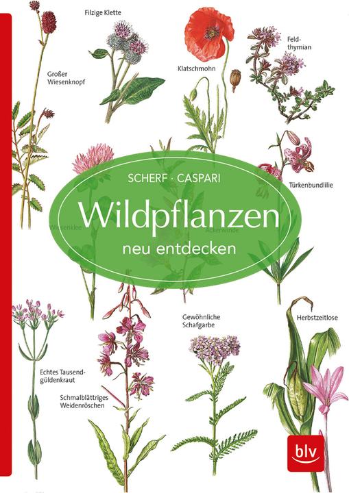 Reference books