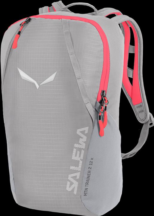 Actual product image Salewa Mountain Trainer L Backpack Child (12 l)