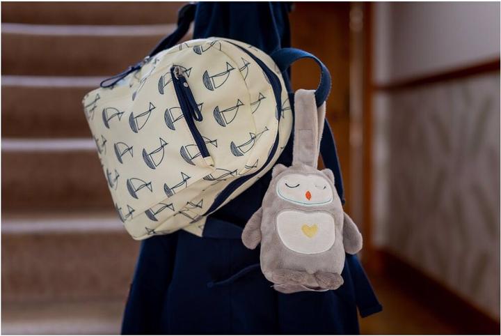 Actual product image Tommee Tippee Mini Grofriend sleep and sleep aid