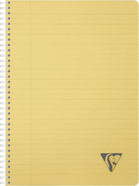 Actual product image Clairefontaine Linicolor Essence Ntbk A4 90sh L+M (A4, Soft cover)