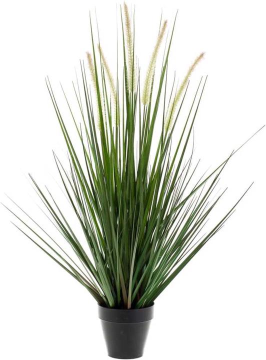 Emerald Kersten (120 cm)