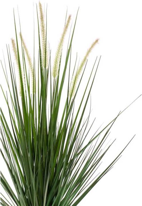 Productafbeelding Emerald Kersten (120 cm)