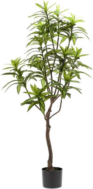 Emerald Brendis (130 cm)