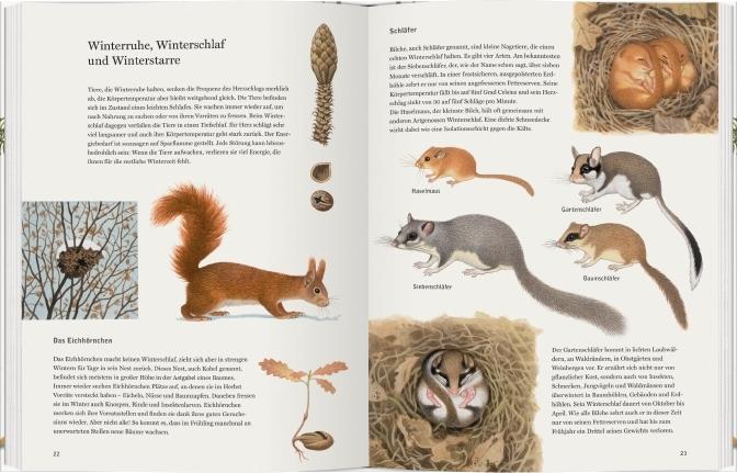 Immagine prodotto Schneehuhn, Reh und Haselmaus (Tedesco, Thomas Mueller, 2017)