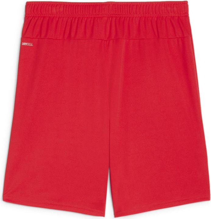 Produktbild Puma teamGOAL Shorts (M)