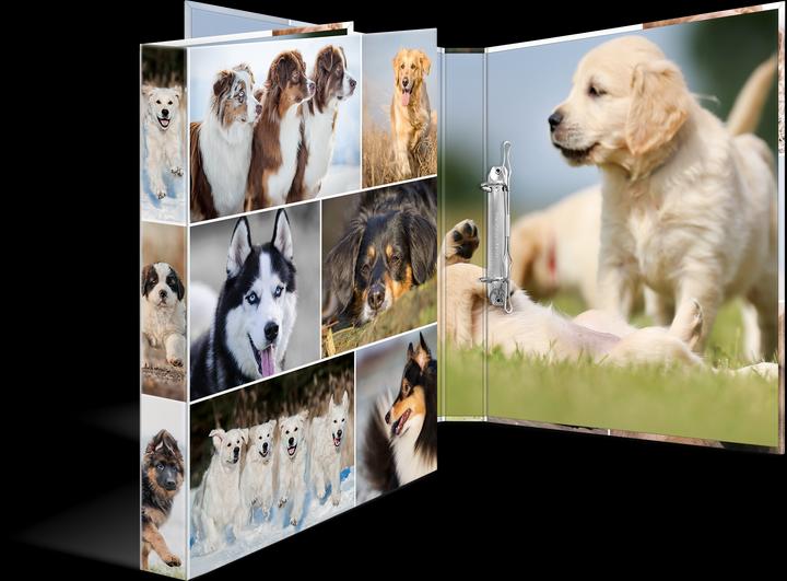 Actual product image HERMA A4 ring binder motif (A4, 35 mm, 1 Piece)