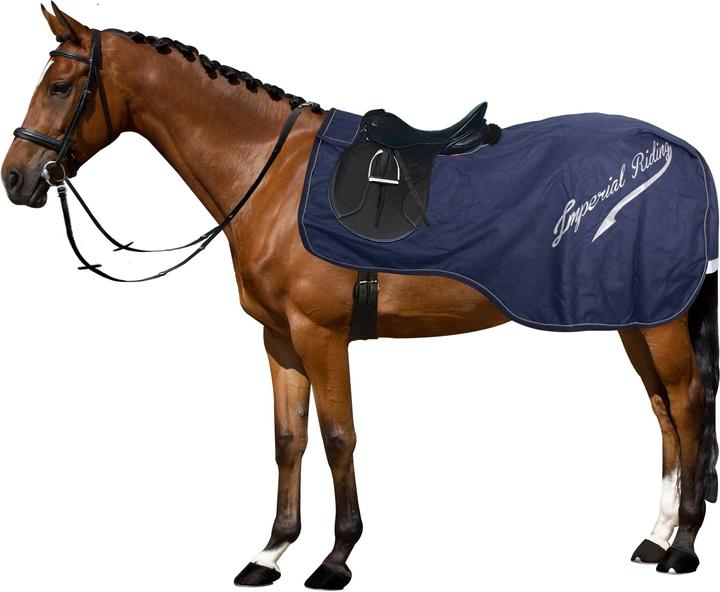 Actual product image Imperial Riding Super-dry 0gr