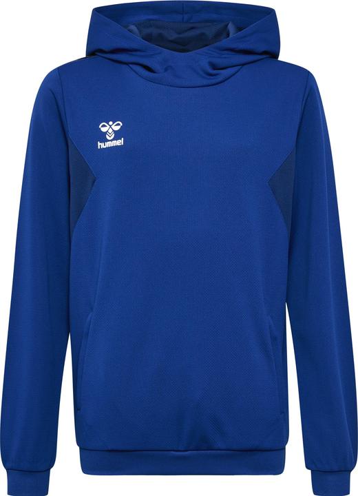 Actual product image hummel Hmlauthentic Pl Hoodie Kids (140)