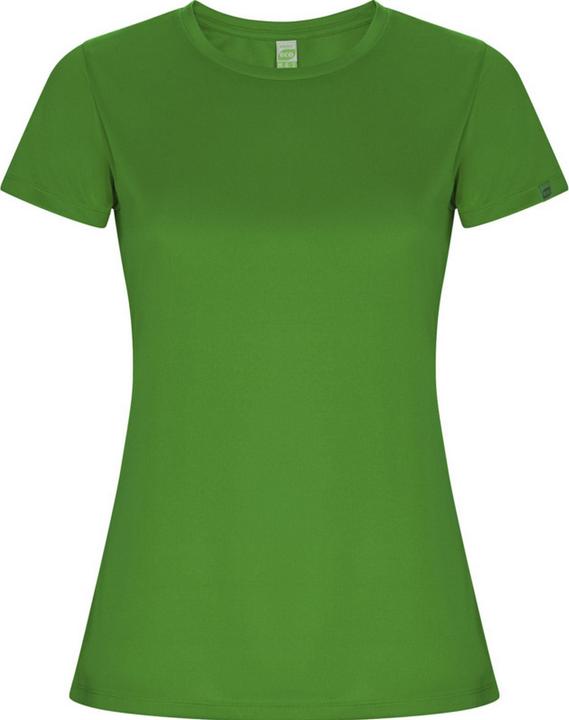Vert fougère