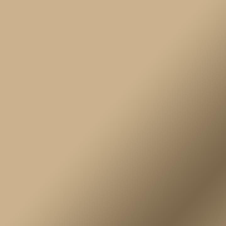Immagine prodotto Cricut Ferro da stiro Foil Everyday 30,5 x 61 cm, Oro