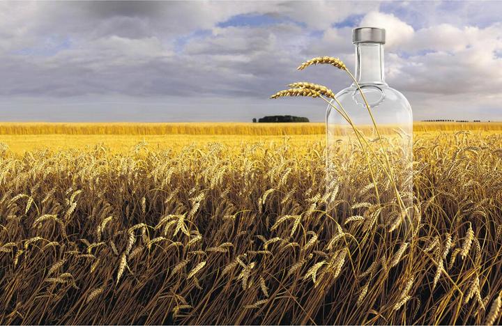 Produktbild Absolut Vodka (1 x 300 cl)