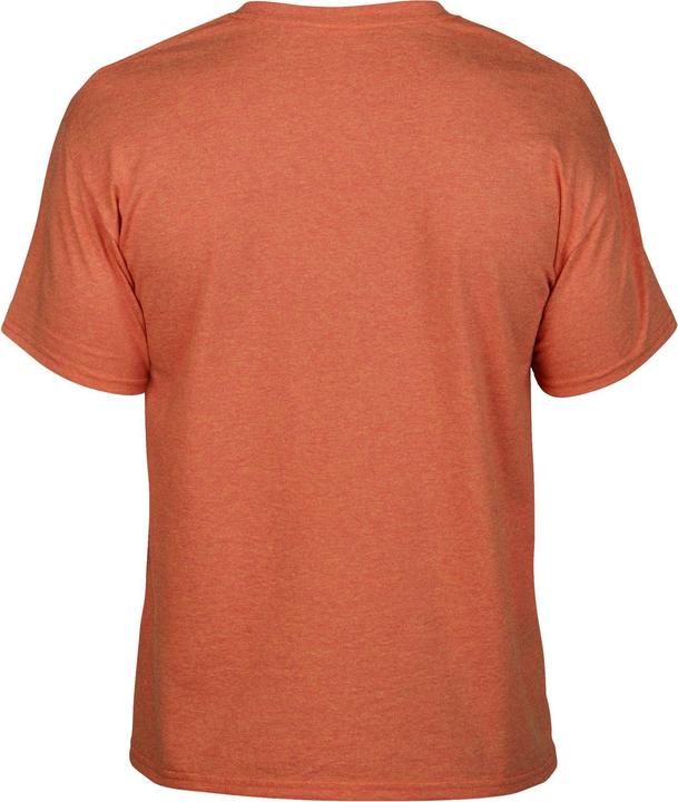 Actual product image Gildan Unisex Adult Heavy Cotton T-Shirt (XL)