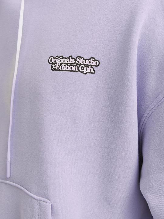 Immagine prodotto Jack & Jones Gedruckt Kapuzenpullover Kapuzenpullover (XL)