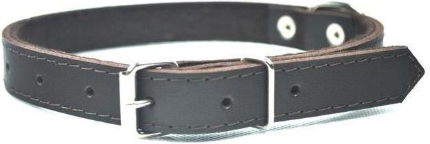 Chaba 600347 Collare per cani / gatti Collare standard per cani in pelle (Cane)
