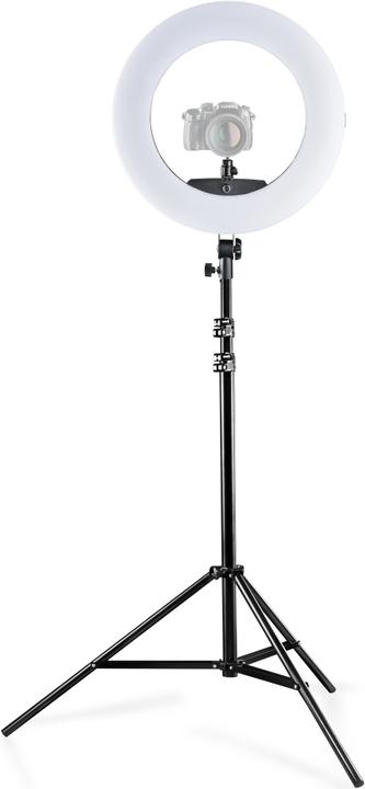 Produktbild Walimex Medow 960 Pro Set inkl. Lampenstativ (Ringleuchte)