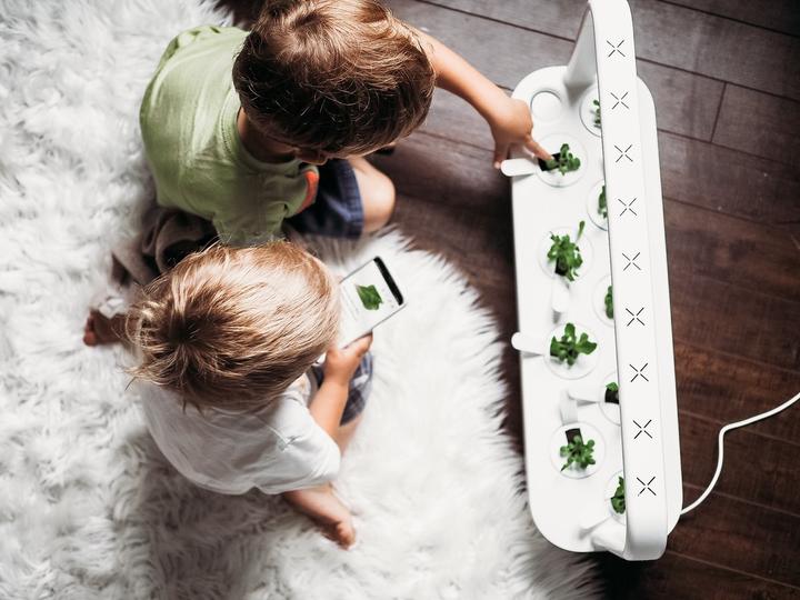 Actual product image Click and Grow Smart Garden 9 (62.50 cm)
