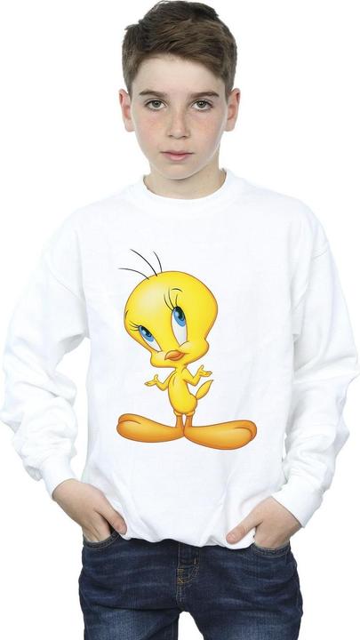 Actual product image Looney Tunes Boys Tweety Standing Sweatshirt (140, 146)