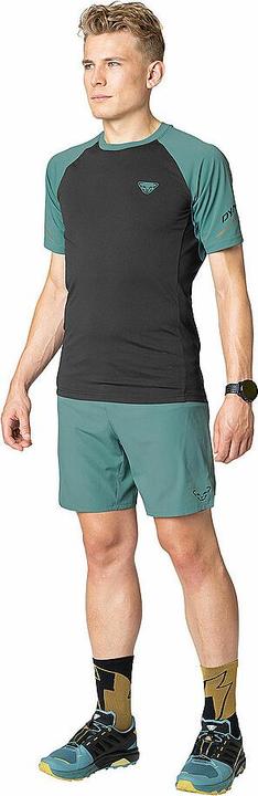 Immagine prodotto Dynafit ALPINE PRO 2/1 SHORTS, Herren (XL)