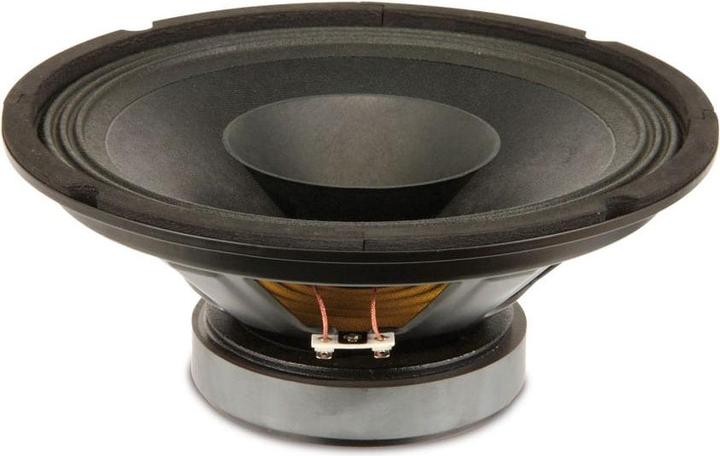 Rockwood BLANKO PA Bass Fullrange 250 mm Guitar Speaker