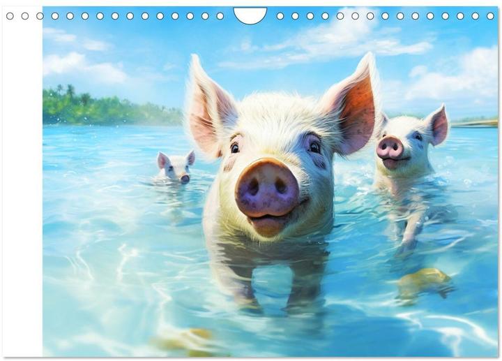 Actual product image Pigs in the Caribbean. Sun and spa with swimming pigs (Wall calendar 2025 DIN A (A4, No binding, German)