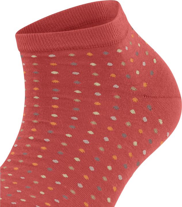 Produktbild Falke Multispot Damen Sneakersocken (35 - 38)
