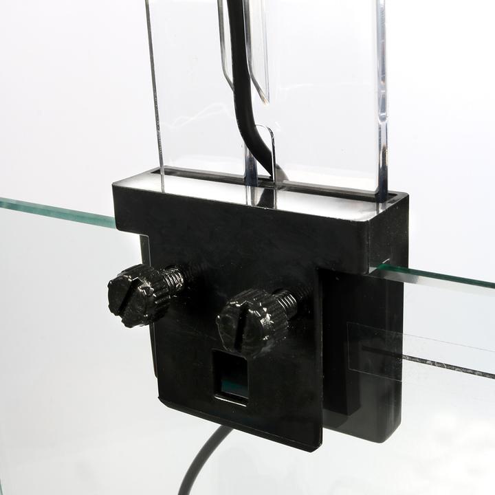 Image du produit Duvoplus Laisse pour poule, 15mm/120cm, noir