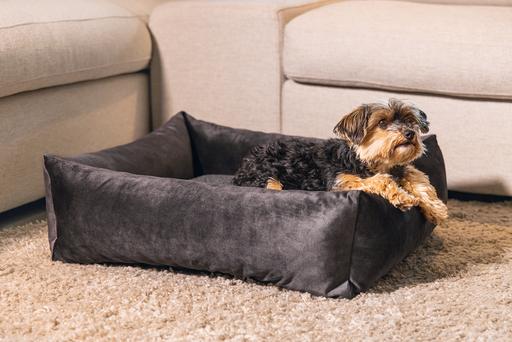 Actual product image Designed by Lotte Ribbed divan bed (Dog)