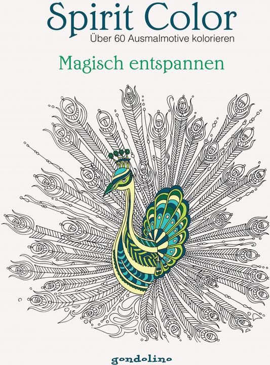 Immagine prodotto Spirit Color: colora oltre 60 motivi da colorare - rilassati magicamente