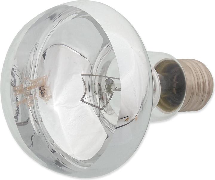 Actual product image Repti Planet Daylight Basking Spot 100 W (UVA, UVB)